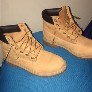 Wheat timberlands